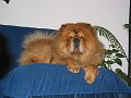 200411224 001